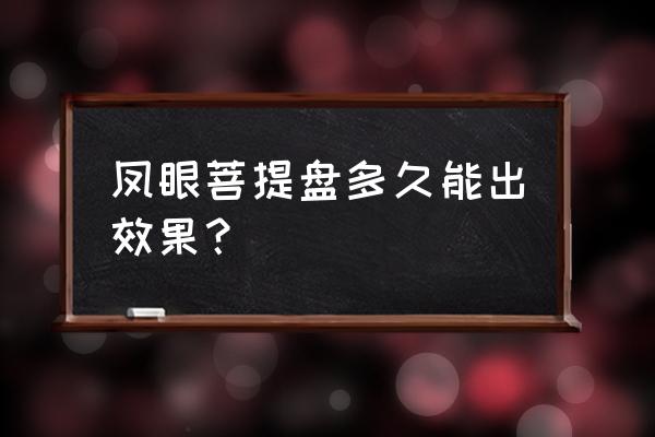 凤眼菩提煮后的效果 凤眼菩提盘多久能出效果？