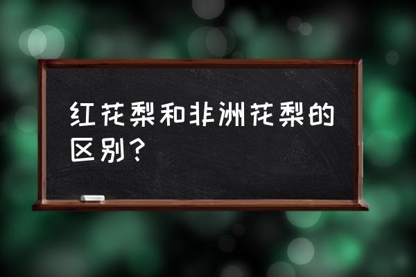 非洲花梨原木大小 红花梨和非洲花梨的区别？