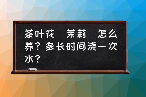 茉莉花花期浇水的正确方法 茶叶花（茉莉）怎么养？多长时间浇一次水？