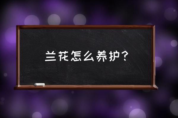 兰花的保养方法 兰花怎么养护？