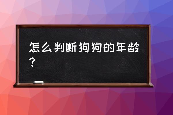 怎样判断狗狗年纪 怎么判断狗狗的年龄？