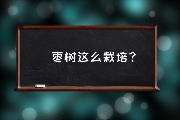 椰子树冬天的修剪方法 栮枣树这么栽培？