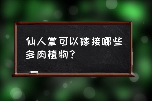 玉翁仙人球怎么让它繁殖呢 仙人掌可以嫁接哪些多肉植物？