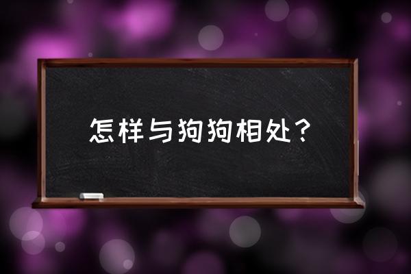 狗狗的正确训练方法和技巧 怎样与狗狗相处？