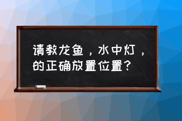 龙鱼各个阶段灯的摆放 请教龙鱼，水中灯，的正确放置位置？