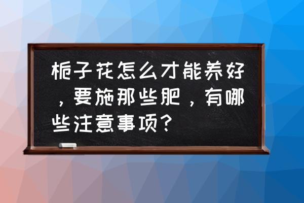 栀子花肥料自制 栀子花怎么才能养好，要施那些肥，有哪些注意事项？