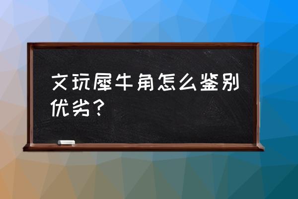 盔犀鸟把玩后图片欣赏 文玩犀牛角怎么鉴别优劣？