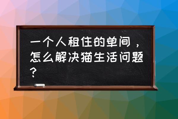 猫出问题怎么解决 一个人租住的单间，怎么解决猫生活问题？