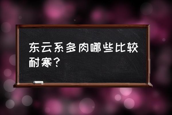 北方冬天室外冻不死的多肉 东云系多肉哪些比较耐寒？