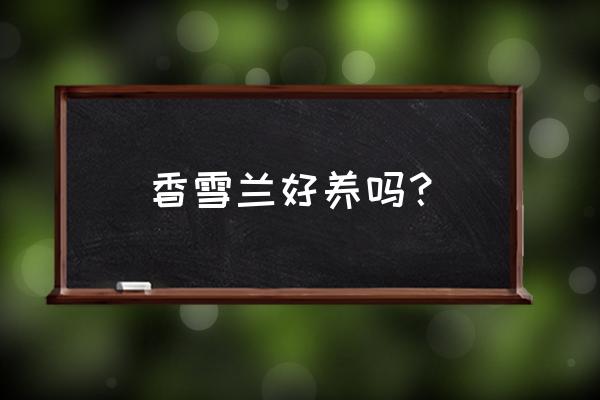 香雪兰的养殖方法和禁忌 香雪兰好养吗？