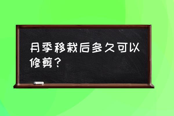 秋季月季修剪的最佳时间 月季移栽后多久可以修剪？