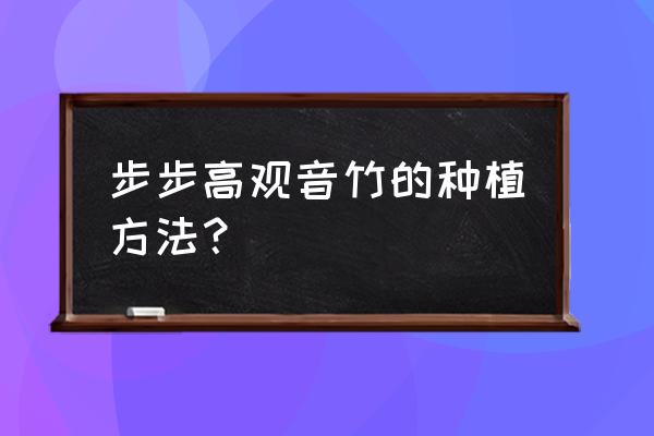 观音竹冬季能养吗怎么养 步步高观音竹的种植方法？