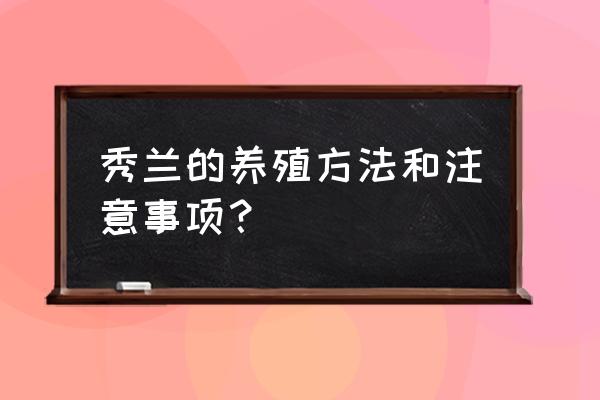 兰花香兰的养殖方法 秀兰的养殖方法和注意事项？