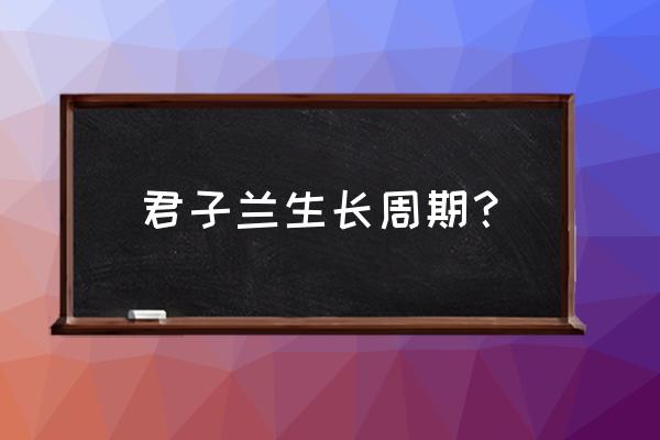 君子兰新叶长出到完全长好要多久 君子兰生长周期？