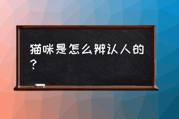 怎么判断家里有爱犬 猫咪是怎么辨认人的？