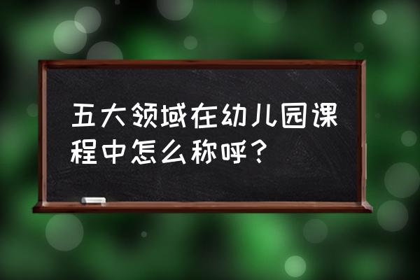 积木拼装小场景 五大领域在幼儿园课程中怎么称呼？