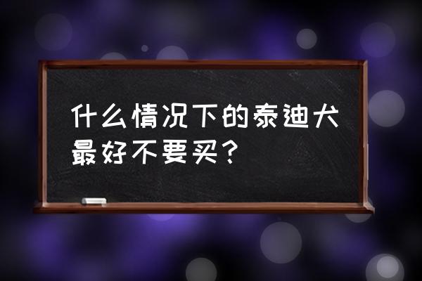 泰迪狗有什么不好之处 什么情况下的泰迪犬最好不要买？