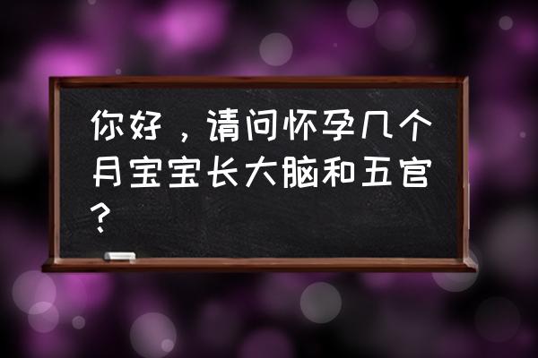 胎儿脑发育的最佳3周时间 你好，请问怀孕几个月宝宝长大脑和五官？