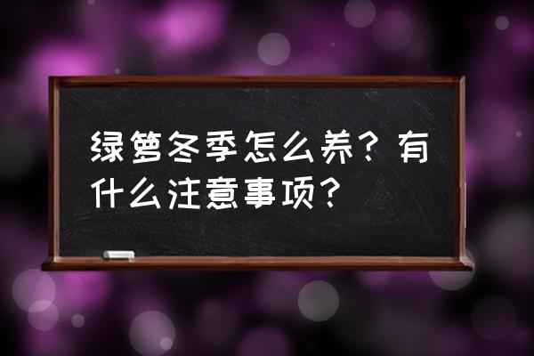 绿萝冬天冻了怎么补救 绿箩冬季怎么养？有什么注意事项？