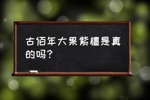 红木家具造假大揭秘之作假篇 古佰年大果紫檀是真的吗？