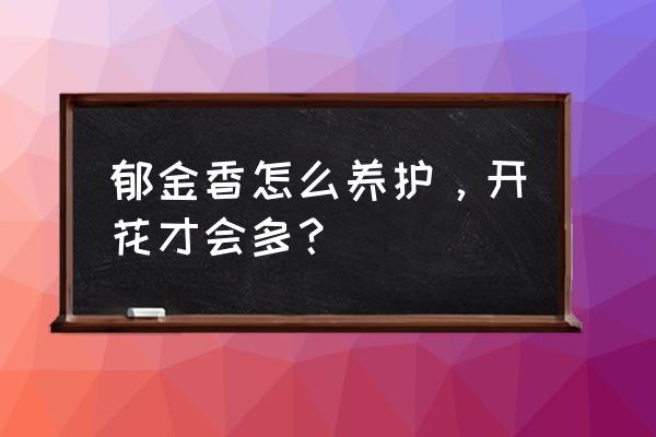 家庭养花怎么才能开花多 郁金香怎么养护，开花才会多？