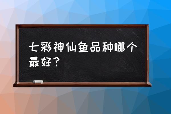 怎么辨别七彩神仙鱼 七彩神仙鱼品种哪个最好？