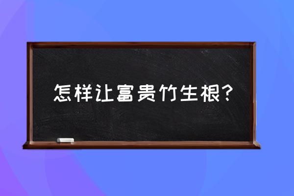 富贵竹怎么生根最快方法 怎样让富贵竹生根？