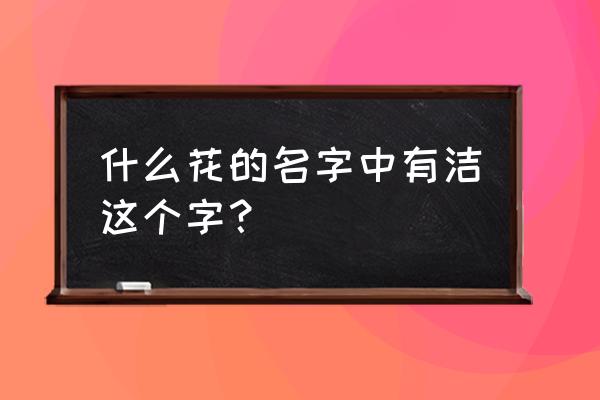 结香的药用价值是什么 什么花的名字中有洁这个字？