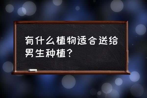 男士吃花粉好处和坏处 有什么植物适合送给男生种植？