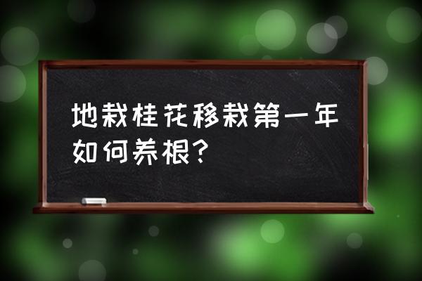 盆栽桂花树怎么养根 地栽桂花移栽第一年如何养根？