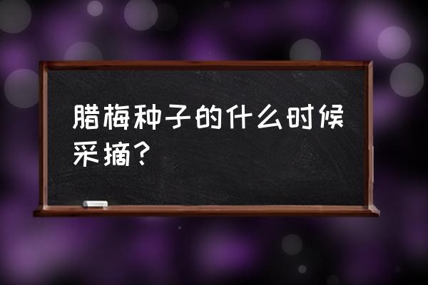 腊梅种子播种前处理方法 腊梅种子的什么时候采摘？