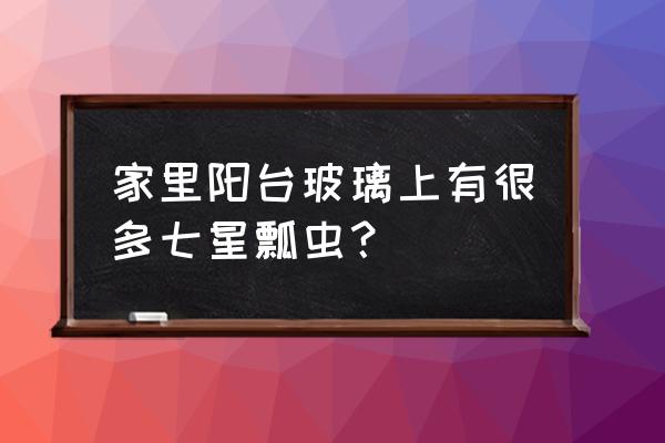 阳台上的植物长了蚜虫怎么办 家里阳台玻璃上有很多七星瓢虫？