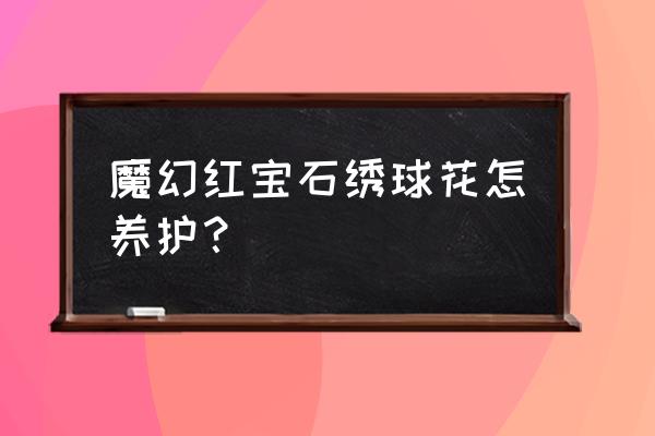 绣球花的种植方法和技巧 魔幻红宝石绣球花怎养护？