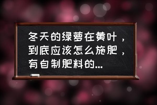 冬天绿萝的正确养殖方法 冬天的绿萝在黄叶，到底应该怎么施肥，有自制肥料的方法吗？