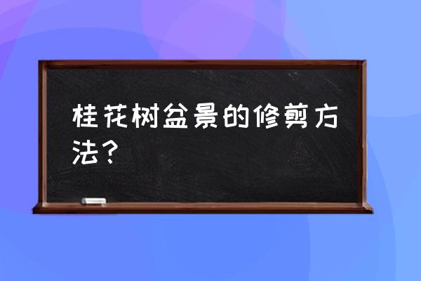 十五公分的桂花树怎样修剪 桂花树盆景的修剪方法？