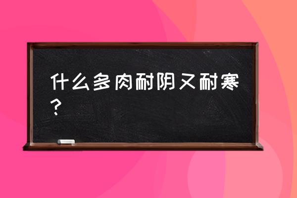 十大耐热又耐寒的多肉 什么多肉耐阴又耐寒？