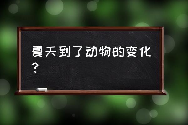 夏季各种花卉养护大全 夏天到了动物的变化？