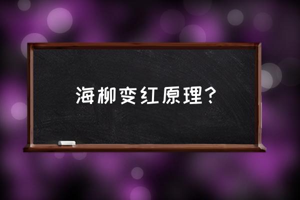 赤柳手串戴久了会有什么变化 海柳变红原理？