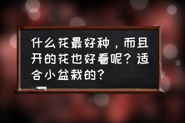 什么盆景花期最长最好养 什么花最好种，而且开的花也好看呢？适合小盆栽的？