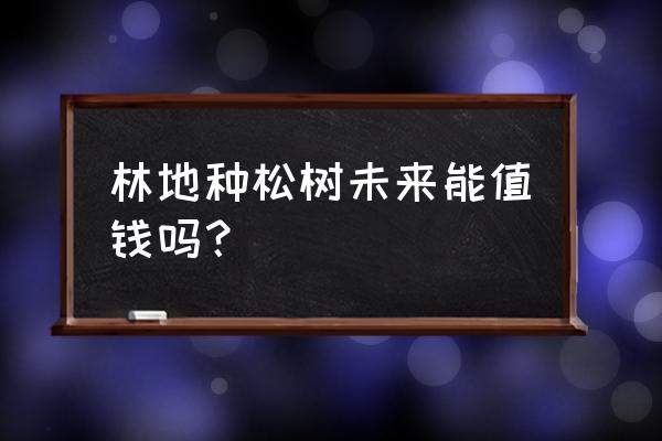 未来值钱的四种东西 林地种松树未来能值钱吗？