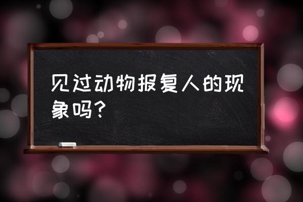 赤脚绅士4 见过动物报复人的现象吗？