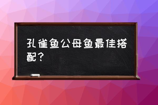 孔雀鱼最适合与什么鱼一起养 孔雀鱼公母鱼最佳搭配？