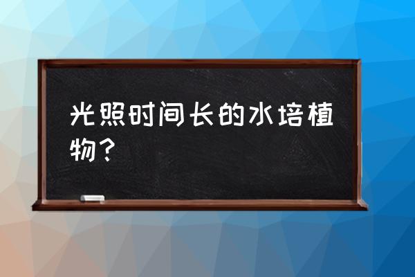 10种公认最好水培的绿植 光照时间长的水培植物？