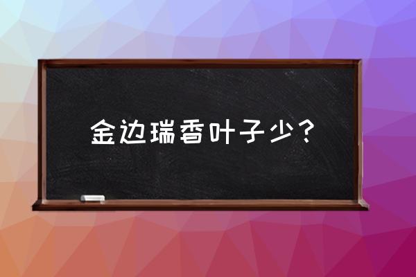 金边瑞香不开花的原因及解决方法 金边瑞香叶子少？