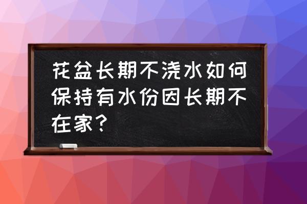 花盆滴灌小妙招 花盆长期不浇水如何保持有水份因长期不在家？