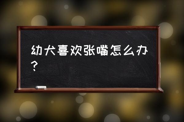 狗狗不吃东西也不张嘴怎么回事 幼犬喜欢张嘴怎么办？