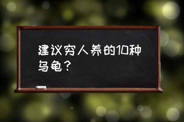 新手十大最好养的乌龟排名 建议穷人养的10种乌龟？