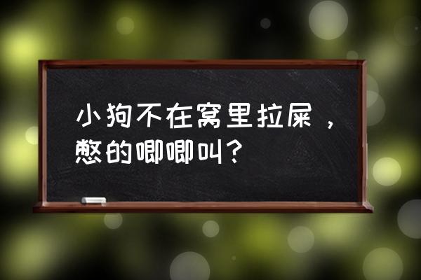 狗狗突然不在指定的地方大便 小狗不在窝里拉屎，憋的唧唧叫？