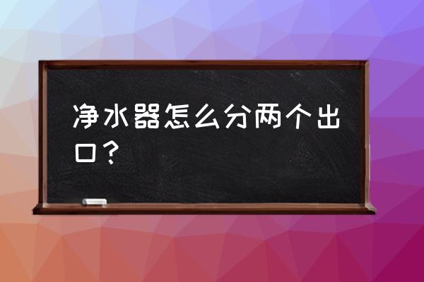 净水器两个头都是什么水 净水器怎么分两个出口？