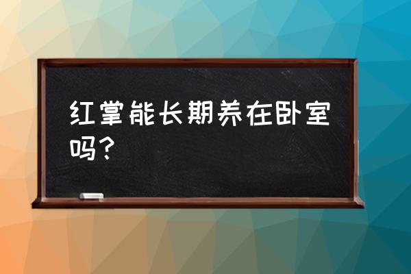 哪种花好养适合养在房间里 红掌能长期养在卧室吗？